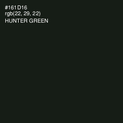 #161D16 - Hunter Green Color Image